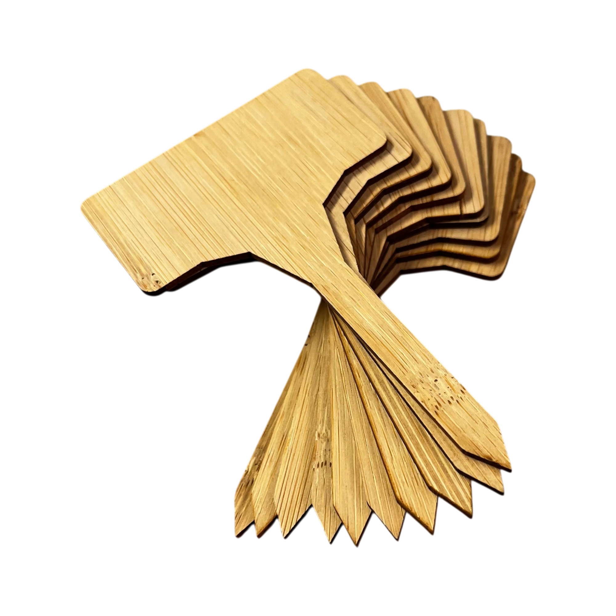 Seasonal Items 季節の商品