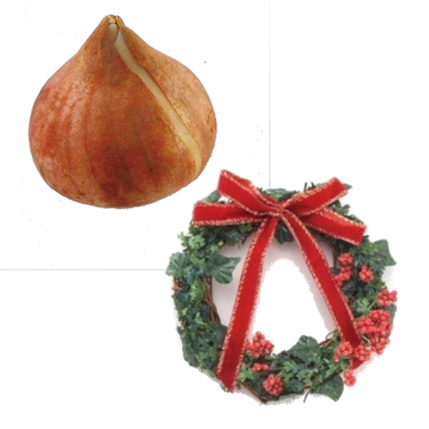 Seasonal Items 季節の商品